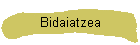 Bidaiatzea